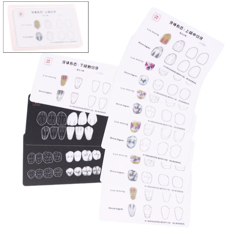 1box Dental Tooth Morphology Practice Card Resin Stacking Training Pad Dental Lab Teaching Tool Dental Students Auxiliary Tool