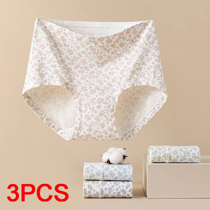 3Pcs Women Underwear Lady Fancy Breathable Fashion Women's Lingerie Triangular Panties Set Women's Cotton Briefs Sexy Underpants