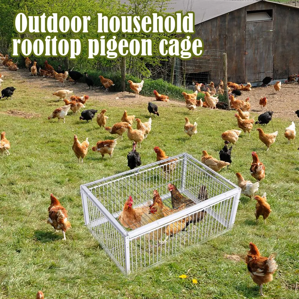 Thumbnail 3 - #6 Best Bird Cages to Buy In 2026