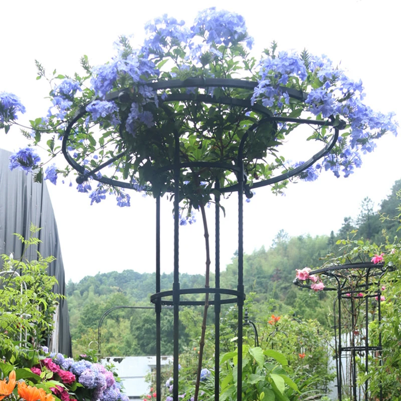 

Assembled Umbrella Flower Stand Climbing Vine Frame Rose Clematis Climbing Roses Umbrella Flower Stand Pole Gardening Greenery