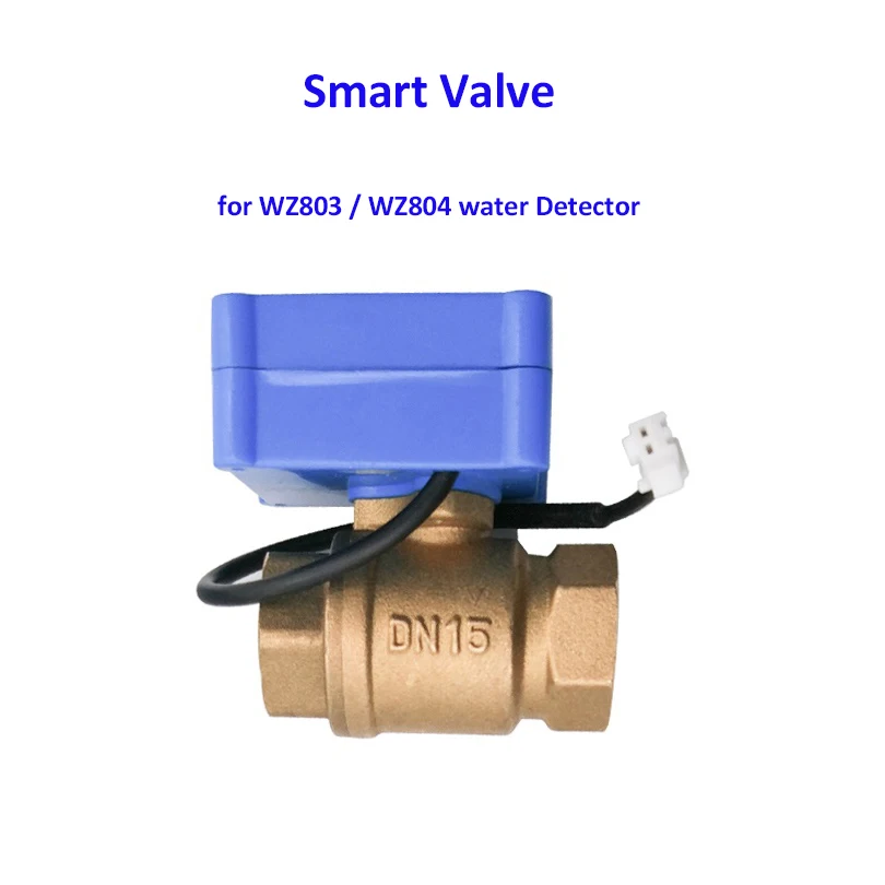 Water smart motorized brass valve Shut Off DN15 (1/2