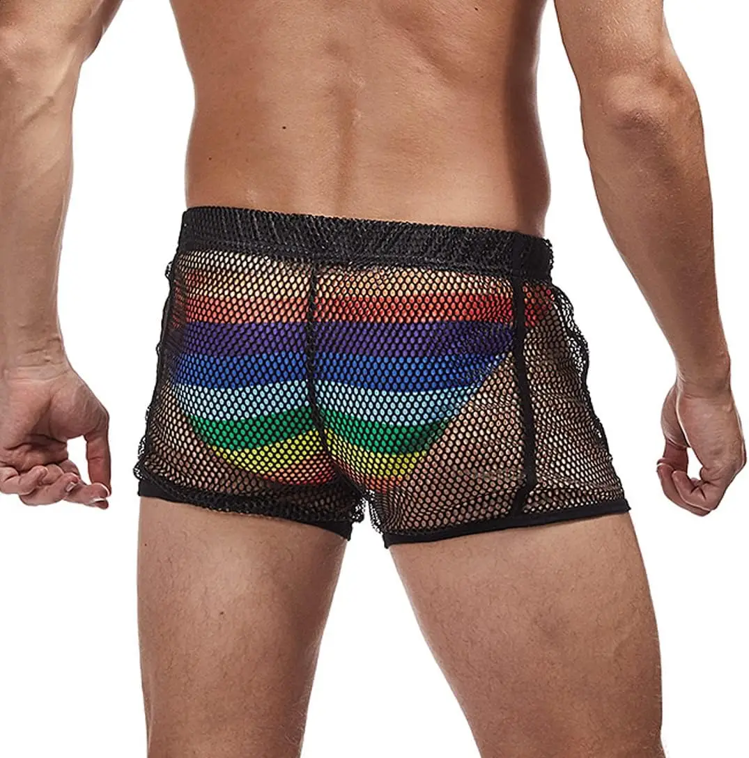 Mens Mesh Shorts Sexy Boxers See Through Boxers for Men