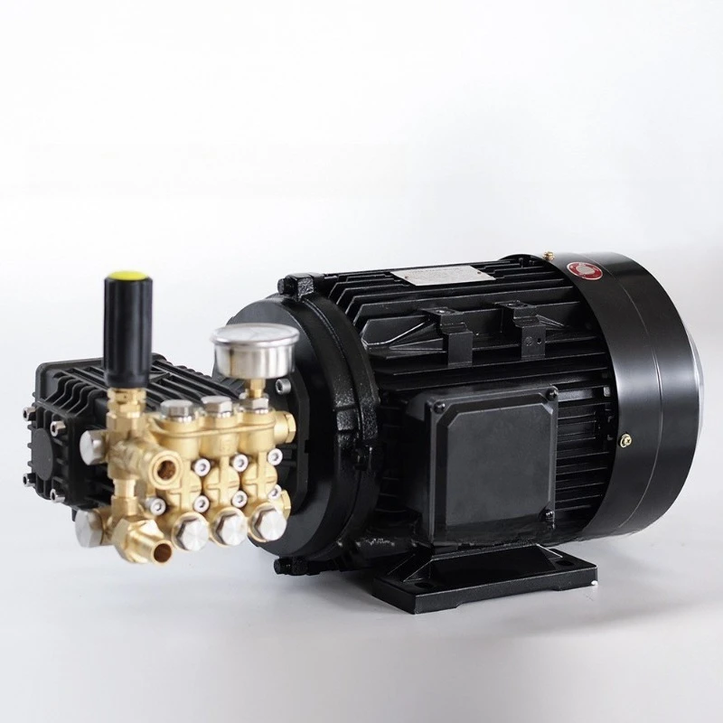 High Pressure Cleaner Direct Drive Motor Pump Assembly, Brass Pump Head Triplex Plunger Pump 220V