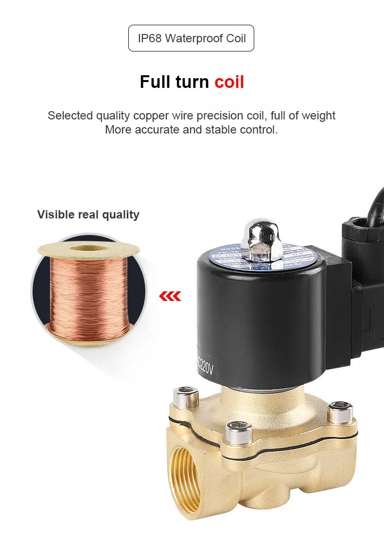2" Messing Unterwasser Magnetventil Brunnen Magnetventil Wasserventil 220V 12V 24V – Detail 5