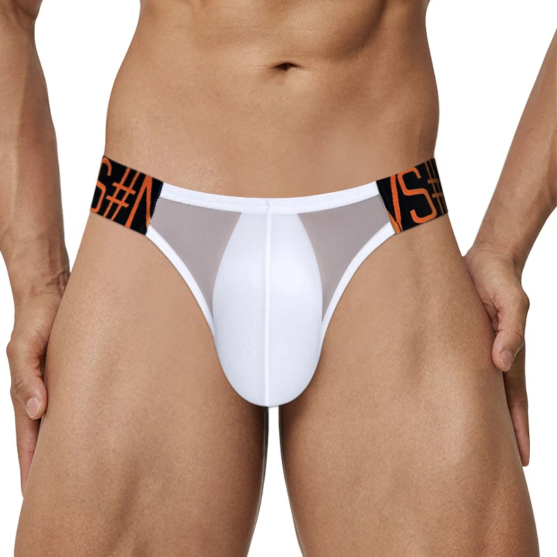 

Men Transparent Underwear Ice Silk Briefs Thin Gay Panties Quick Dry Low Wasit Men's Brief High Fork Breathable Underpants