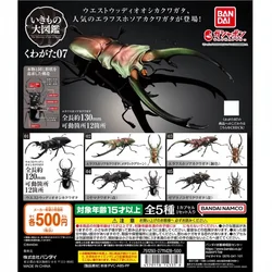 Bandai Original Gashapon Action Figure Cute Simulation Insect Mantis Beetle Assembly Model Kawaii Capsule Anime Figurine Toy