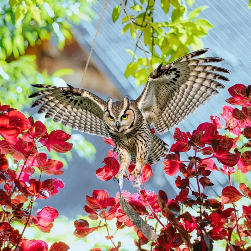 [ZY]1Set Bird Scarer Simulation Owl Bird Repellent Pest Control Artificial Waterproof Scarecrow With Reflective[ZY] view 3