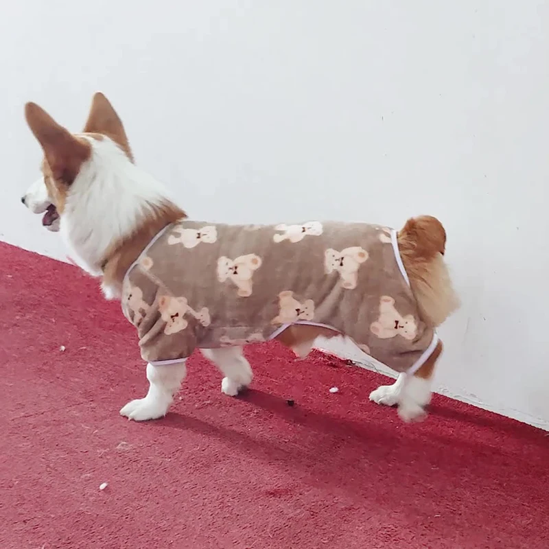 ملابس الحيوانات الأليفة الساخنة لطيف الدب طباعة هوديي الخريف والشتاء ملابس بأربعة أرجل ملابس الكلب القط #2