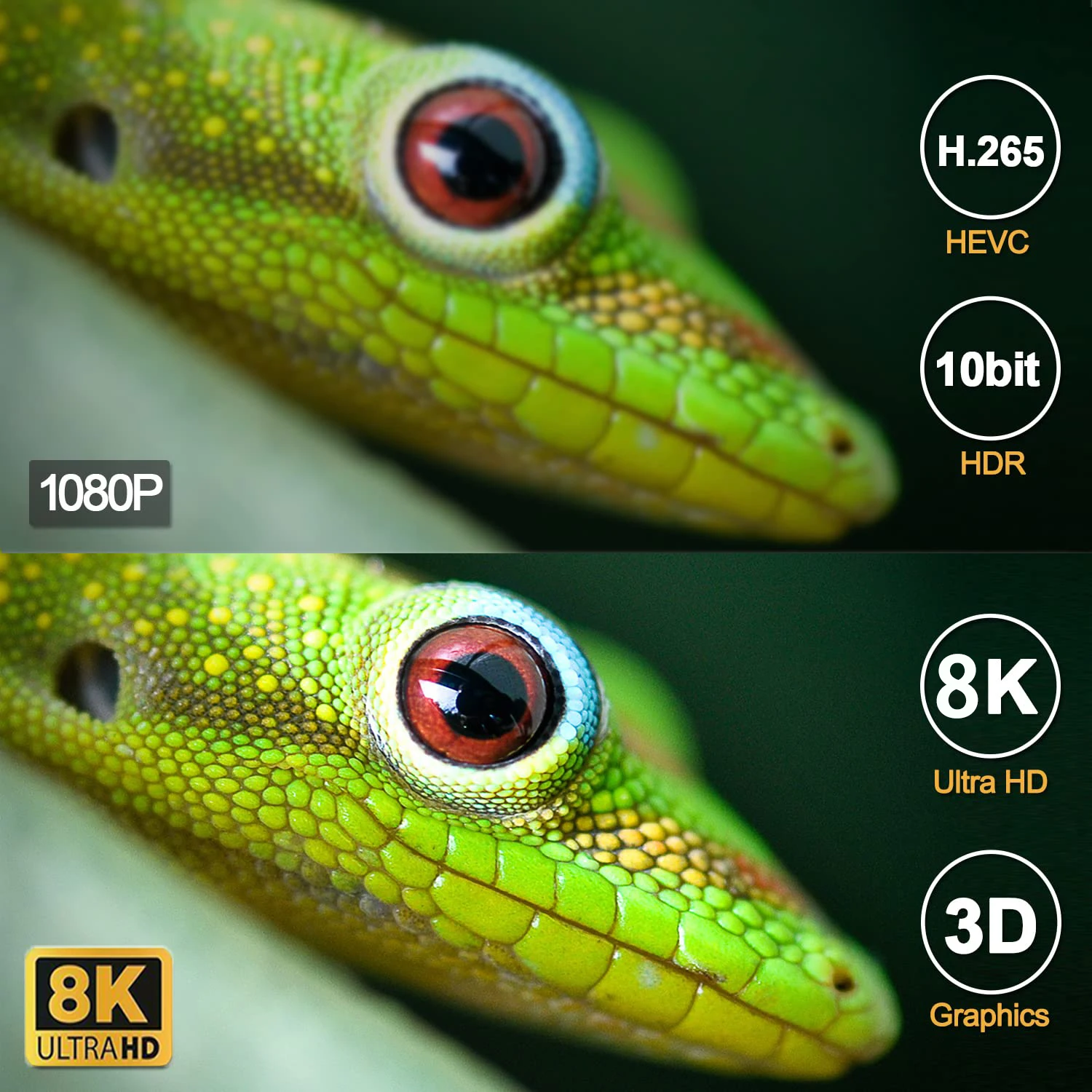 8G 128G T95 TV Box Smart Android Support 2.4G/5.8G WiFi6 BT5.0 4K HDR10 Video Set Top Box Android14 Media Player Global Version