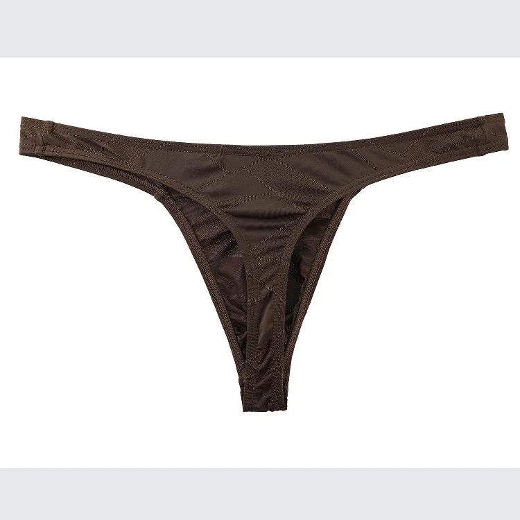 Mens Thong Sexy Summer Ice Silk Thin Low Waist Underwear