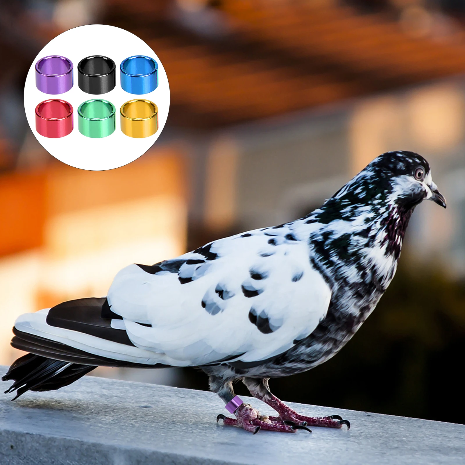 

18 Pcs Colorful Identification Rings for Birds Aluminum Leg Bands Bright Colored Pigeon Racing Markers Homing Pigeons