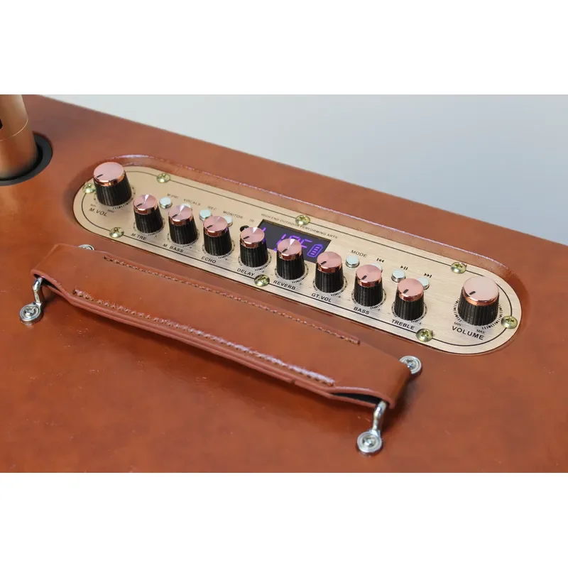 Vintage Wood Bluetooth Speaker with 3 Way Crossover USB Wireless Mic AUX Guitar Input for Karaoke Party Home Audio System