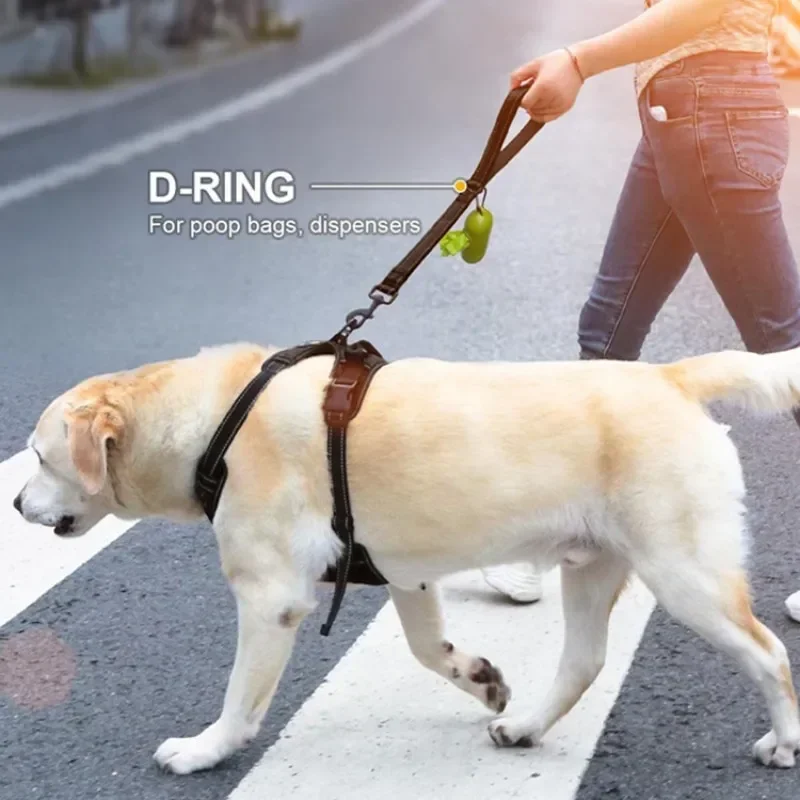 Correa de nailon para perro grande, cadena reflectante acolchada y cómoda de 60cm, ideal para pasear en un solo paso