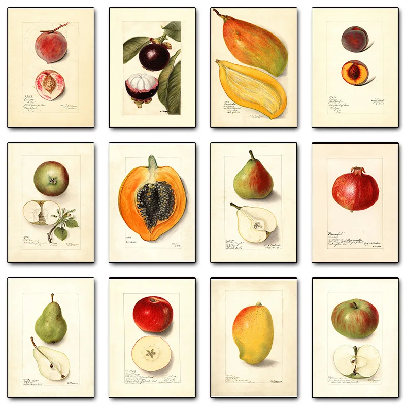 Fruit Vintage Kitchen Apple Papaya Mango Pomegranate Banana Poster Print Wall Art Pictures Canvas Painting Room Home Decor Gi