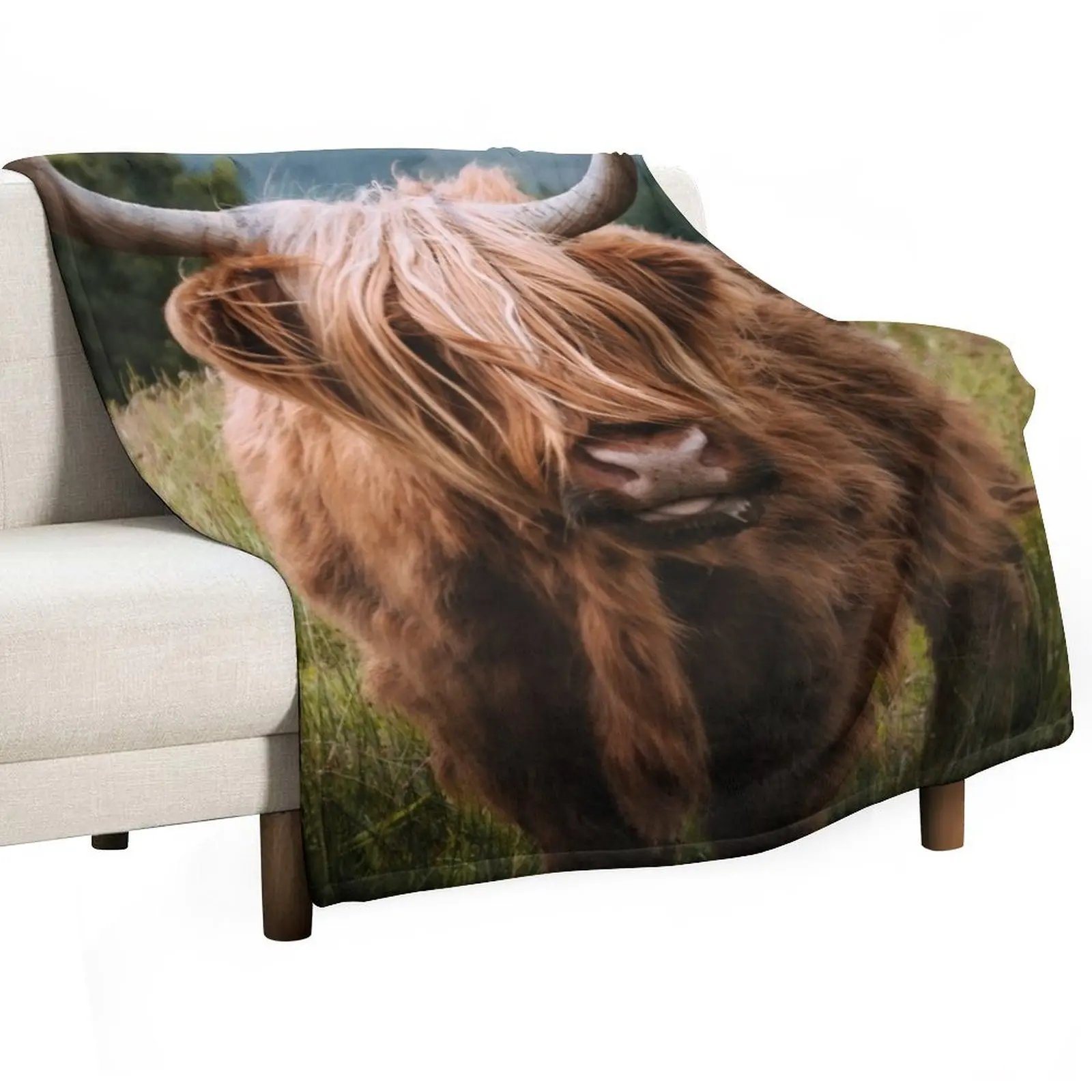 Wooly Cow a?? Scottish Highland Cattle in Scotland Throw Blanket Sofa Quilt Travel Softest Retros funny gift Blankets
