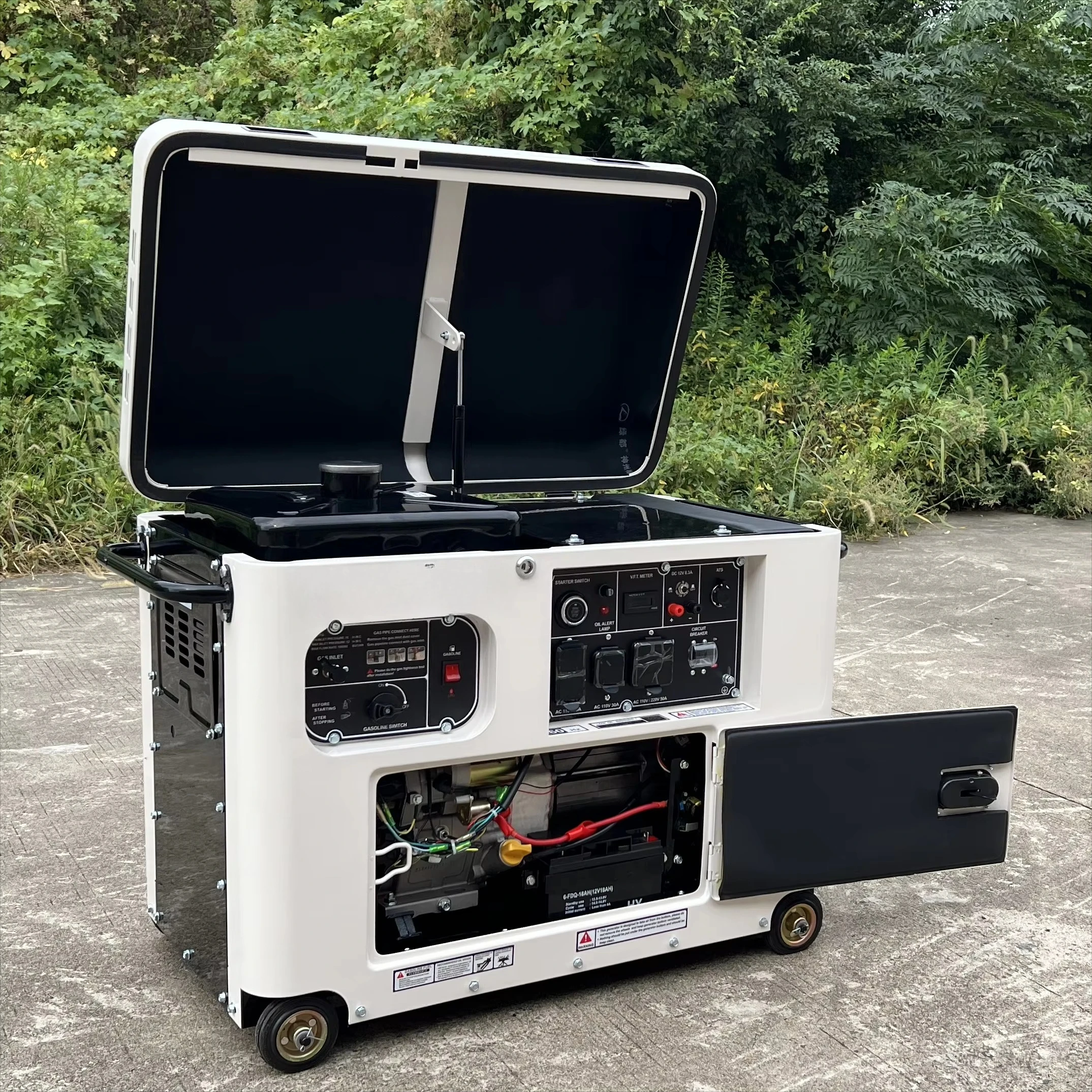 

10kw Dual Fuel LPG Natural Gas Generator Set for Home Standby Use 50HZ 60HZ Frequency Options Emergency Power Solution