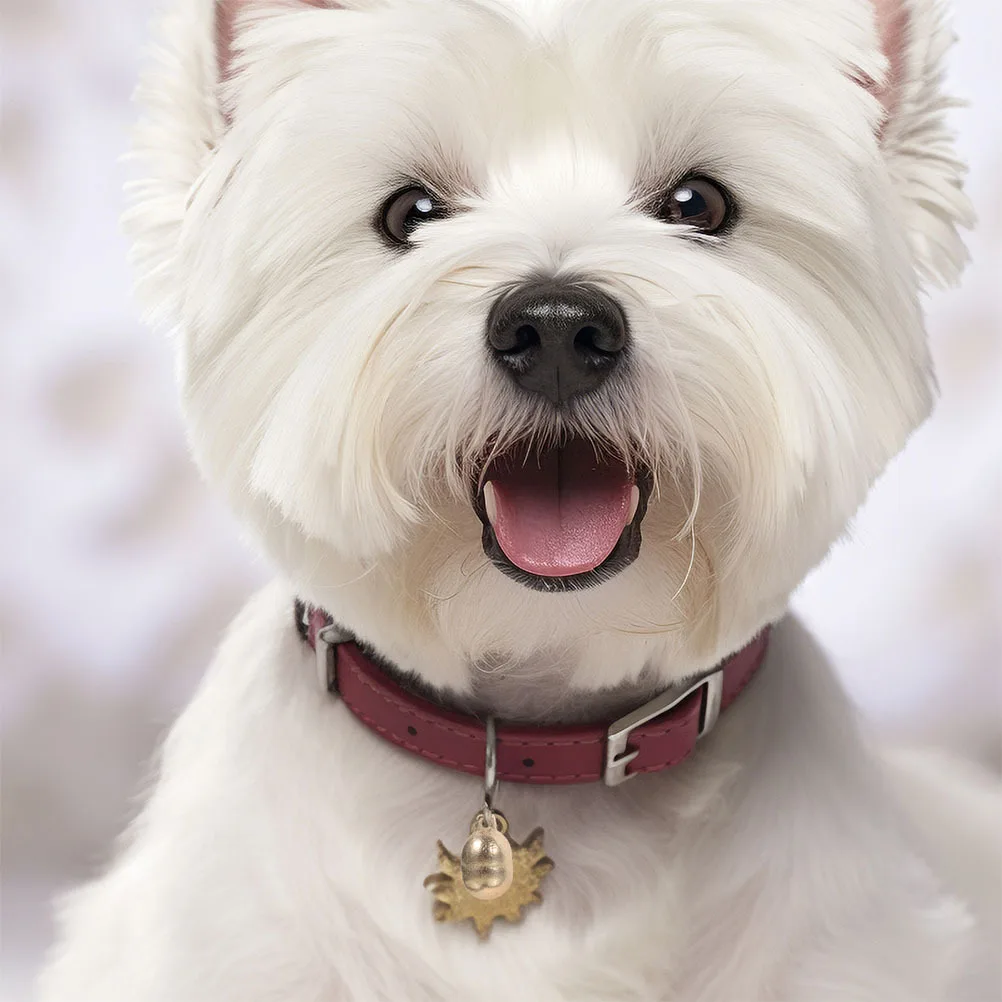 

6Pcs Pet Collar Bells Copper Dog Cat Collar Charms Decorative Hanging Bells Multi-Use Accessories Cat Supplies