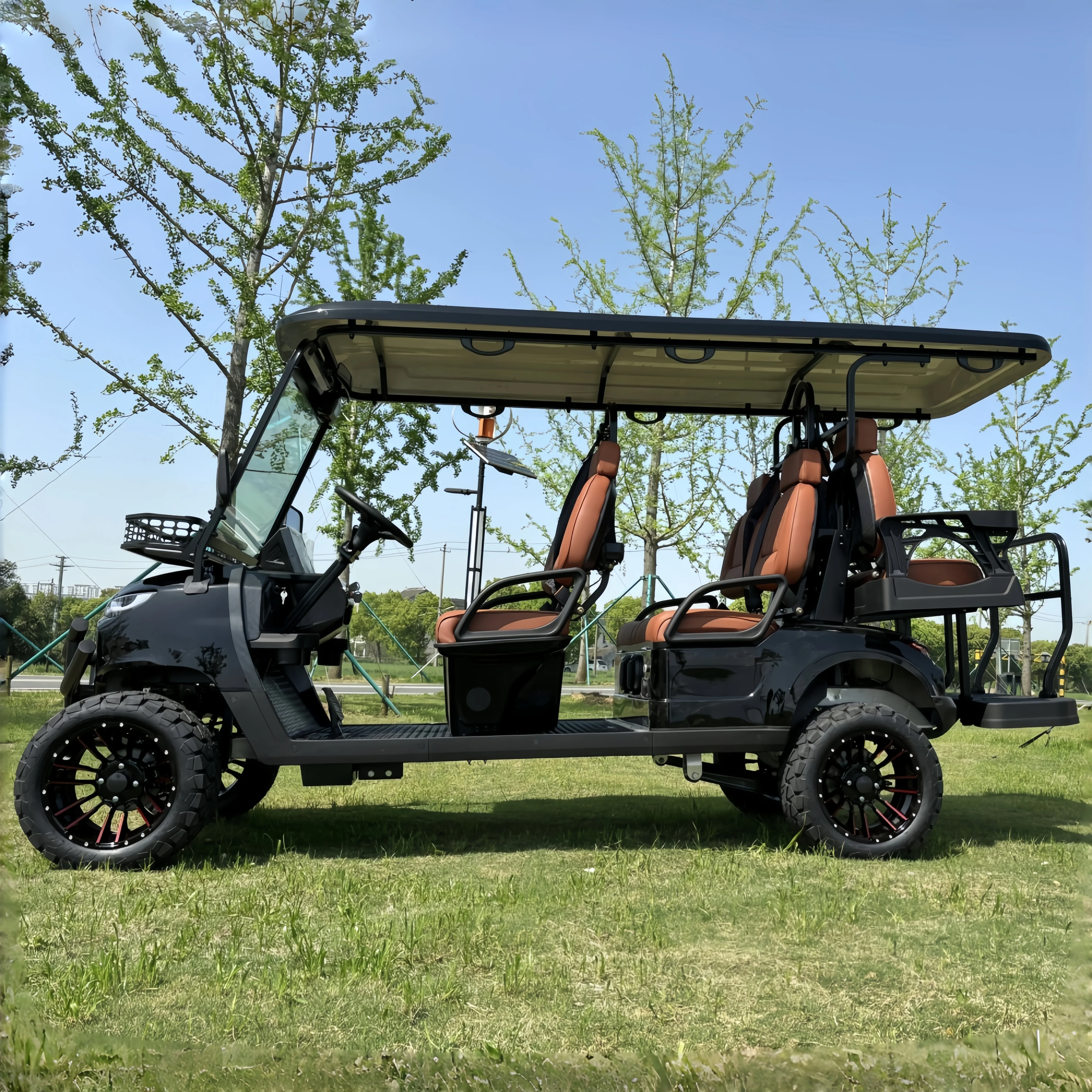 Hot Selling Cheap Golf Cart with Lithium Battery Mini 2 Seat Electric Golf Cart Fast Delivery