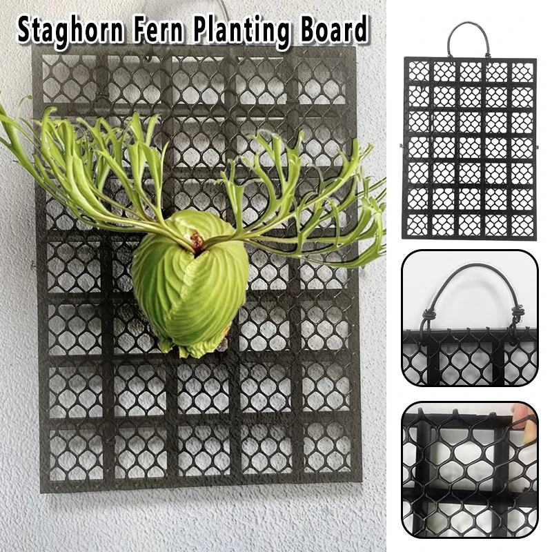 

Дышащая пластиковая сетчатая доска для посадки папоротников Staghorn, орхидей и дендробиумов, садовая настенная подвесная доска для растений
