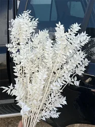 Ramo de flores secas de hojas de eucalipto blancas reales naturales para decoración de la habitación del hogar, arreglo de boda