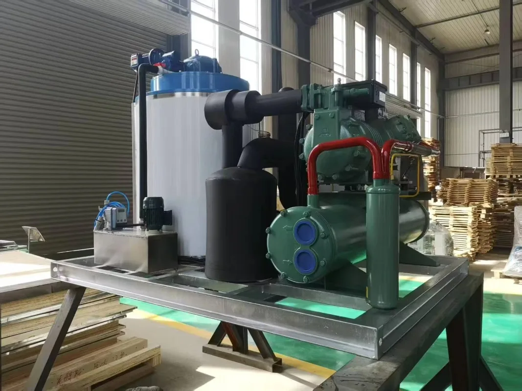Commercial Ice Flake Maker 3 Ton 5 Ton for Bar Restaurant Supermarket High Speed Custom