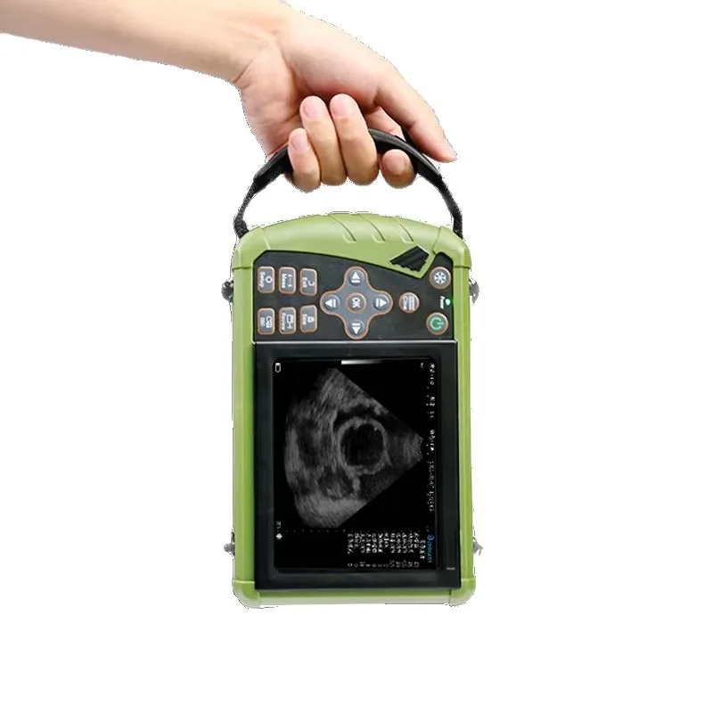 Pet ultrasound machine, animal handheld color ultrasound machine for pigs, cattle and sheep animal husbandry, portable dog