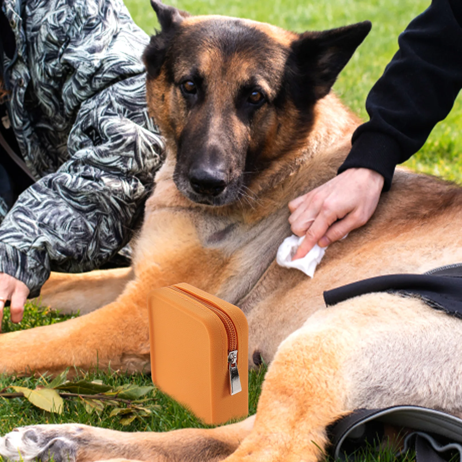 

Pet Training Treat Pouch Silicone Material Waterproof Design for Dog Walking Outdoor Use Portable Snack Container with Zip