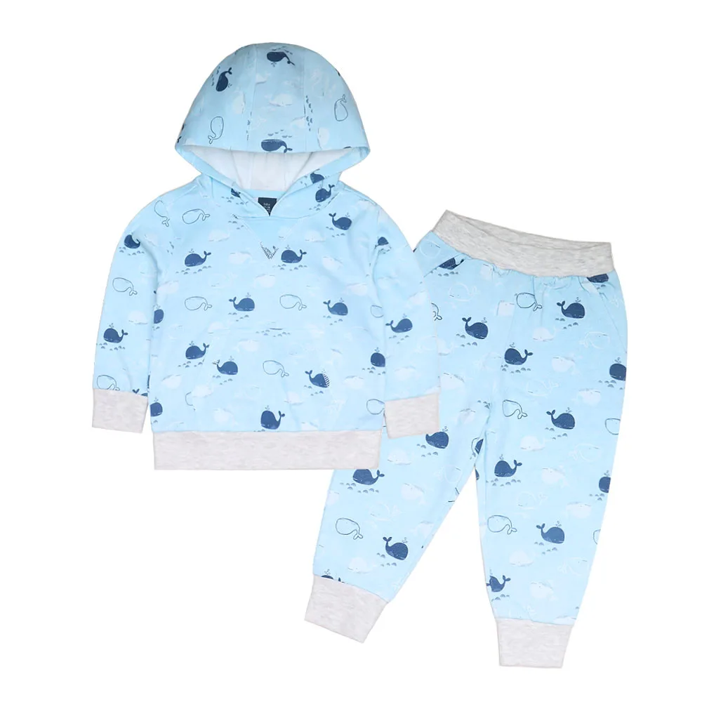 Baby Boy Clothing Toddler Boy Clothes Long Sleeve Hooded Tops Pants Clothing Sets Baby Spring Infants Outfit Infant Kids Clothes