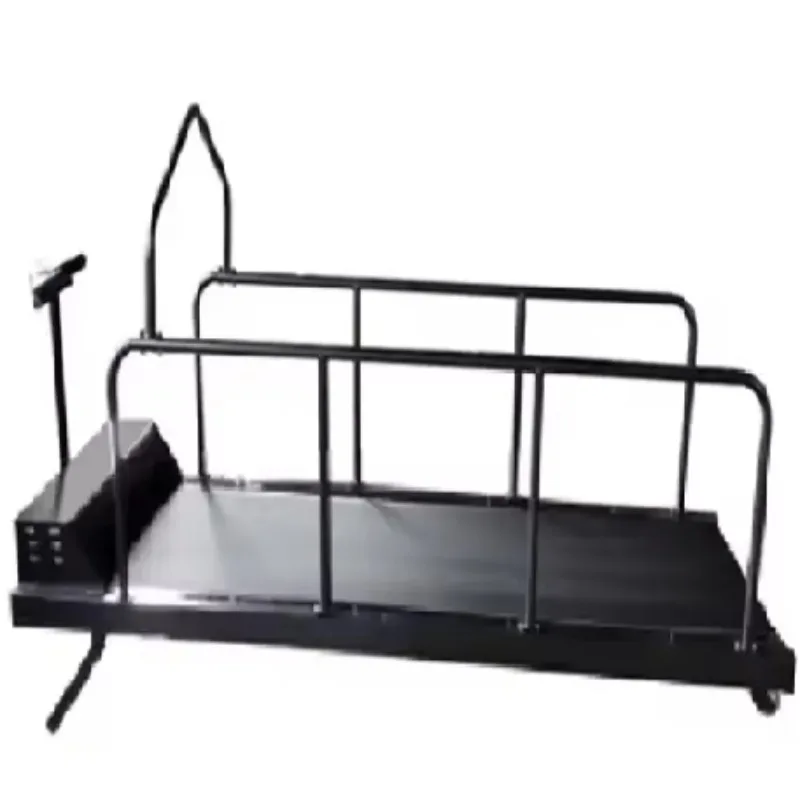 

Electric Incline Dog Treadmill Rehabilitation Training Steel Oxford Cloth ABS Eco-Friendly