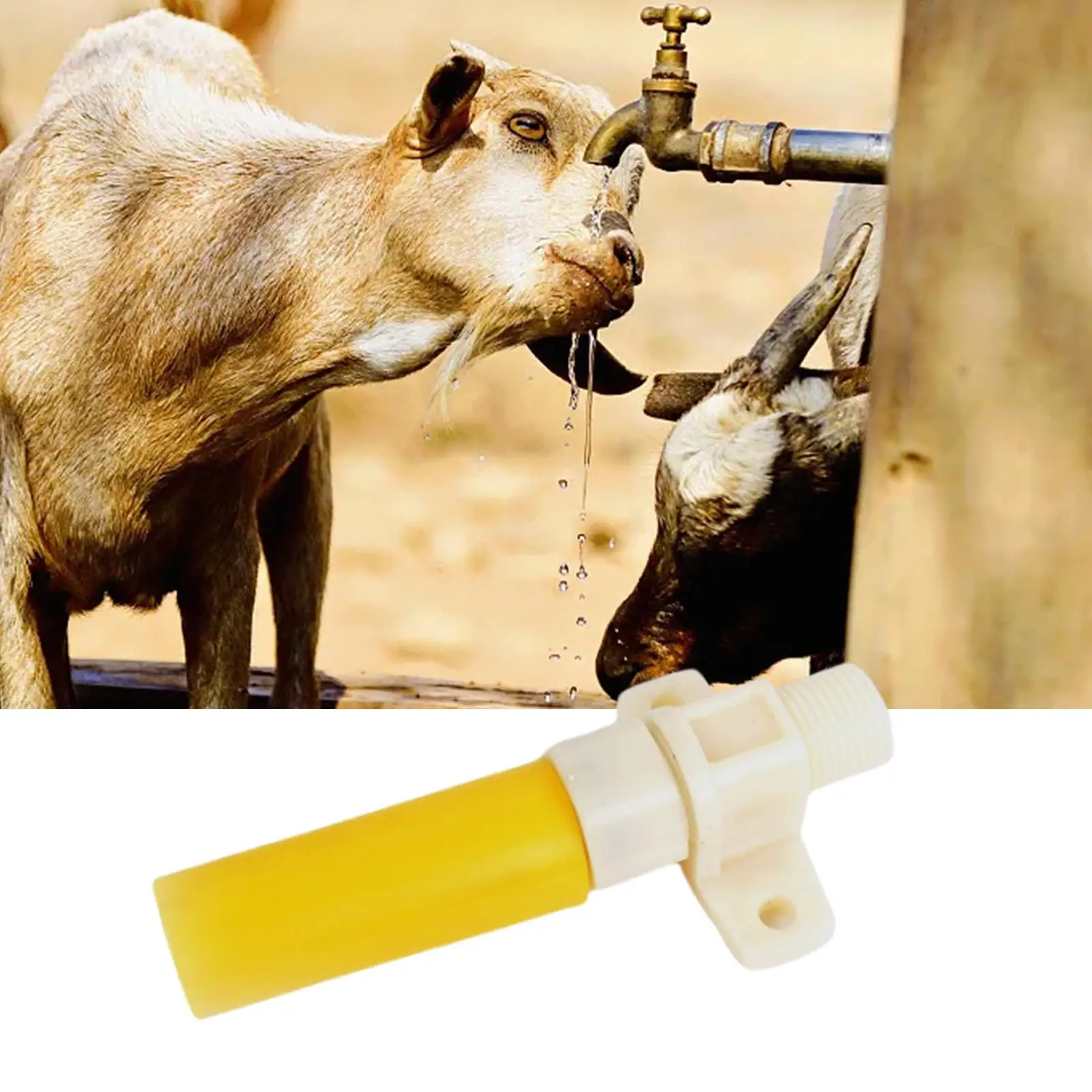 Durable PP Automatic Water Bowl Valve for Sheep Lambs Goats Cows Horses Piglets Livestock Farm Feeder Supplies