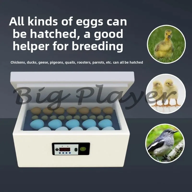 

Инкубатор Маленький бытовой умный водный инкубатор для курицы Робот-утка Гусь