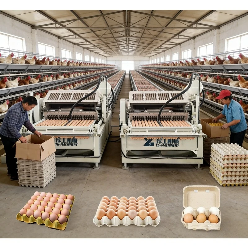 Egg Tray Production Equipment Full Automatic Egg Tray Machines For Making Egg Trays