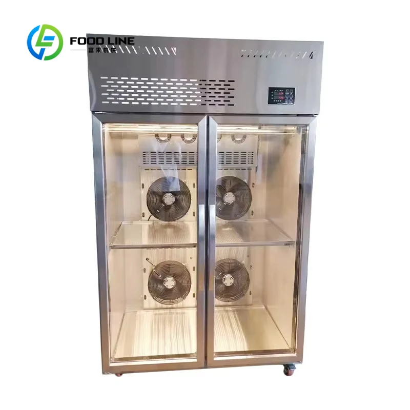 Customized Intelligent Stainless Steel Roast Duck Drying Cabinet with LED Light for Barbecue Shop Embryo Refrigerated