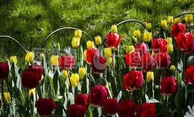 

7075 Gunmetal Front Shock Tower IF604 Models Replacement Upgrade Hoops Spare Parts Accessories for Kyosho MP10 1/8 RC Car