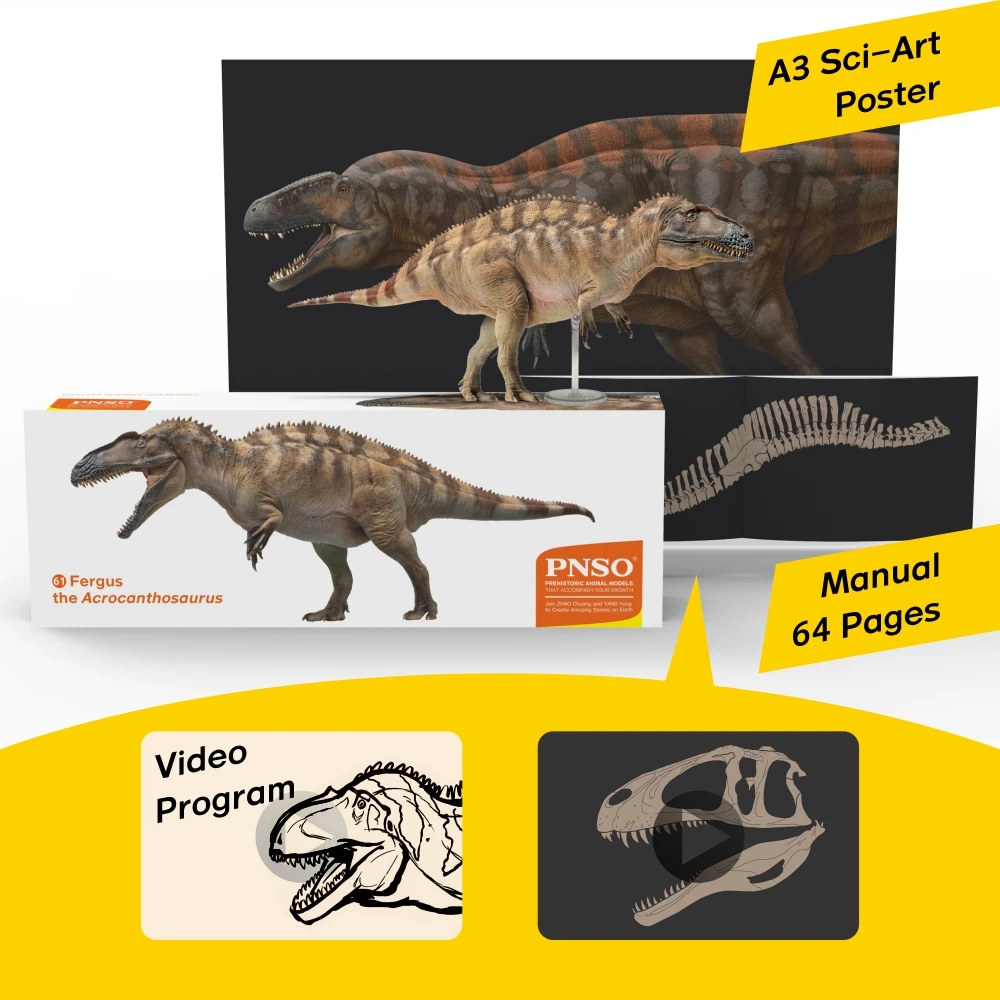 PNSO ไดโนเสาร์ก่อนประวัติศาสตร์รุ่น: 61Fergus The Acrocanthosaurus