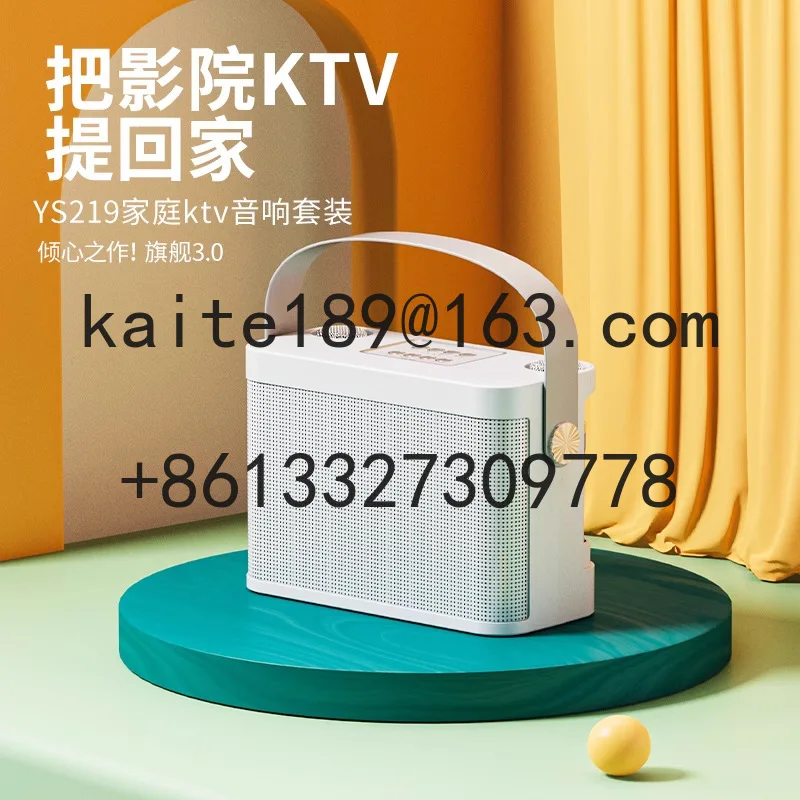 YS-219 Home TV KTV سماعة لاسلكية تعمل بالبلوتوث مكبر صوت ميكروفون لاسلكي ميكروفون صوت الكل في واحد صوت صغير