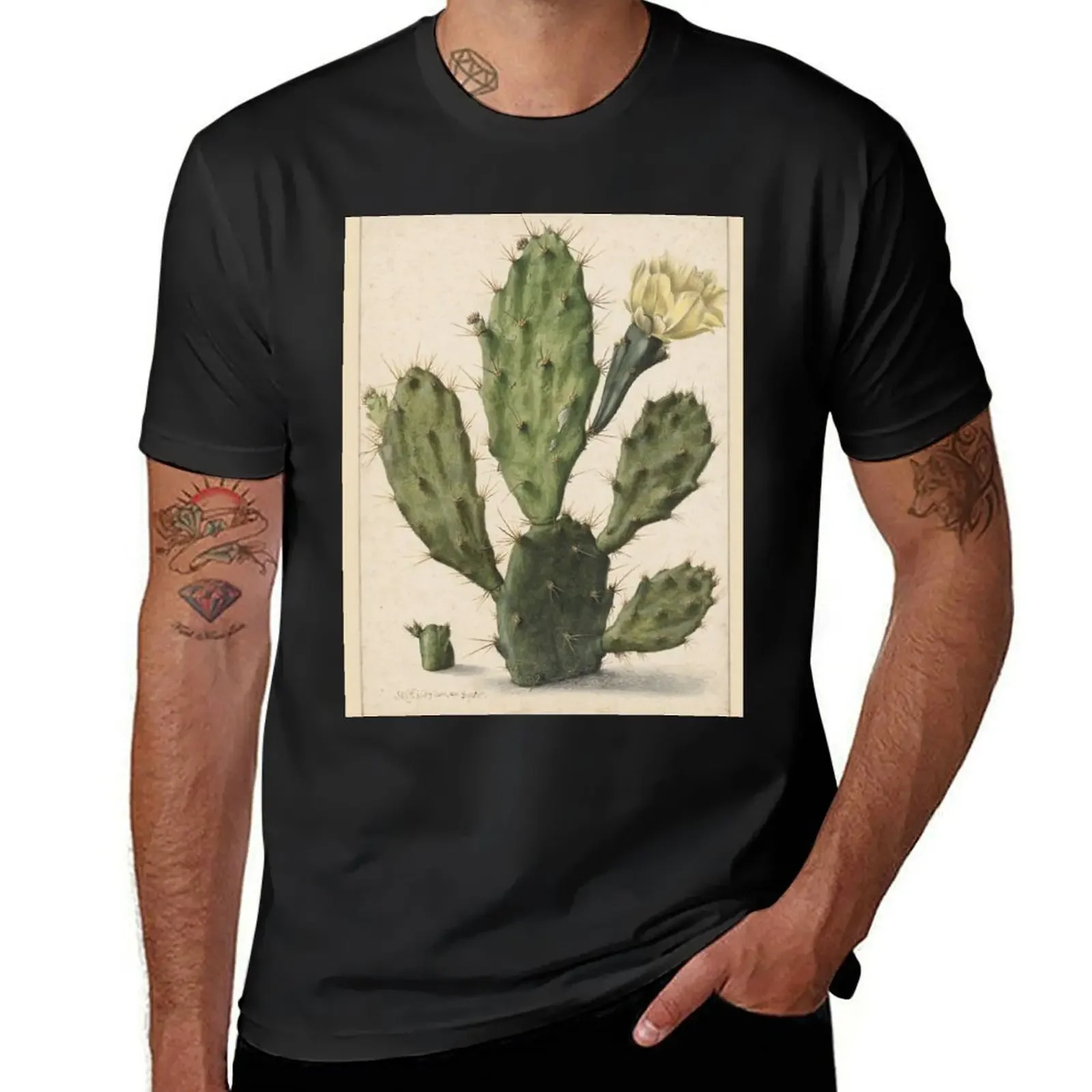 

Cactus drawing. T-Shirt customs anime anime clothes shirts men graphic