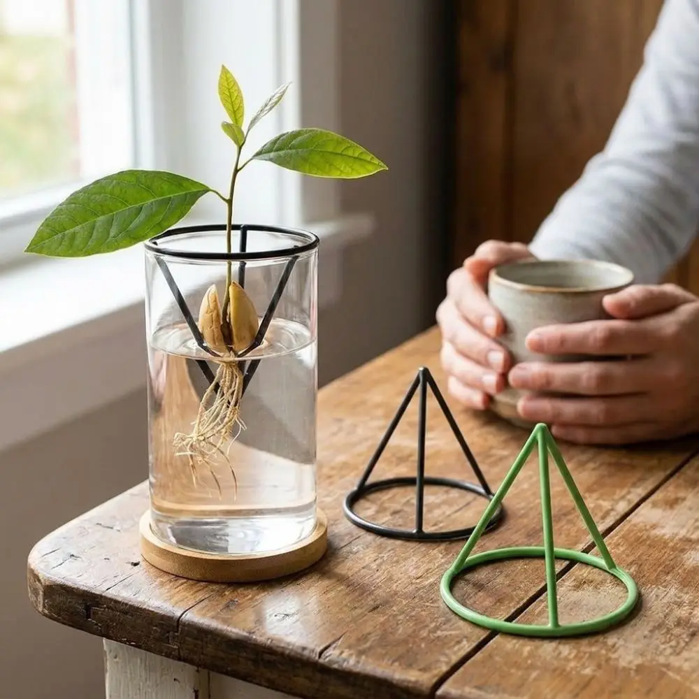 3Pcs Cone-shaped Avocado Growing Triangular Holder Floating Stable Avocado Germination Stand Soil-less Plastic Hydroponic Rack