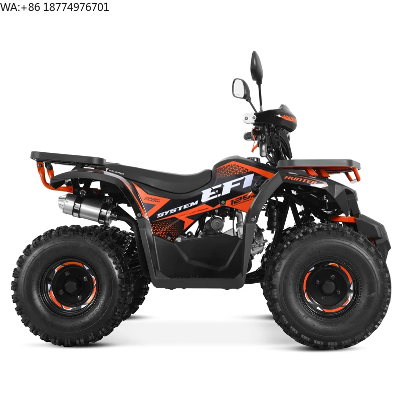 Tao Motor 2024 New EFI Electronic Fuel Injection ATV 125 Cheap Chinese Automatic with Reverse Chain Drive Farm ATV 125cc ATV