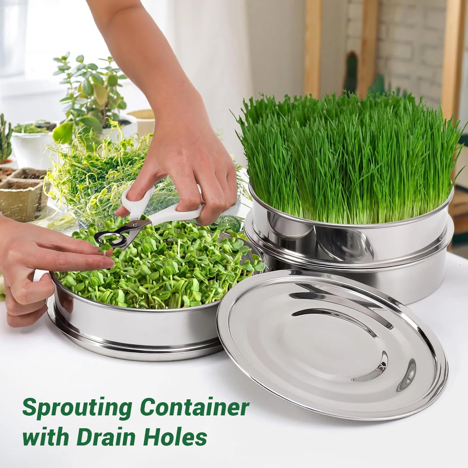 6.7 Inch Stackable Sprouting Kit Stainless Steel Mesh Germination Tray Sprout Grower with Lid Base for Beans Peas Broccoli Wheat