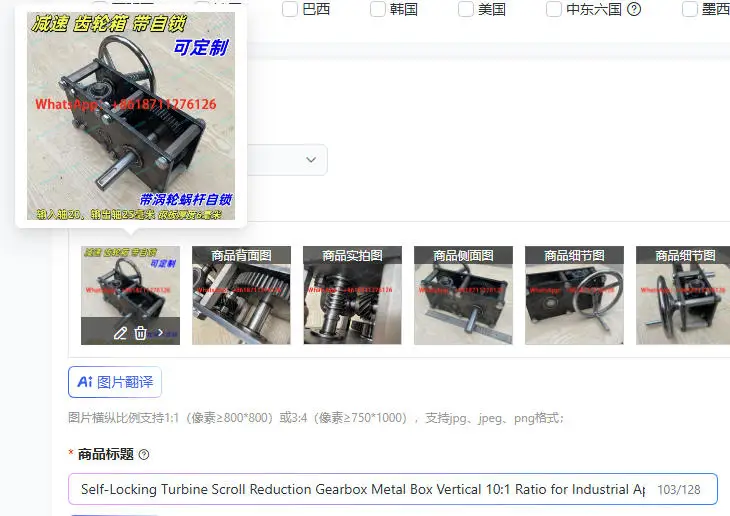 Self-Locking Turbine Scroll Reduction Gearbox Metal Box Vertical 10:1 Ratio for Industrial Applications