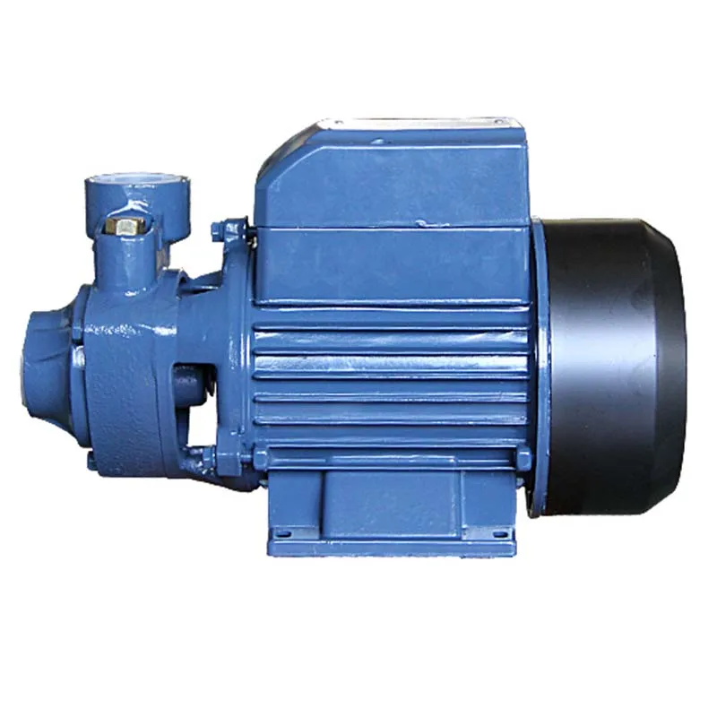 QB80 1HP 750W Cast Iron Self Priming Centrifugal Water Pump