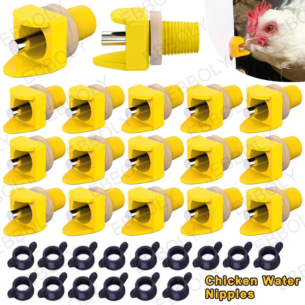 Chicken Waterer Nipples Pack of 15/20/30 Easy Install Automatic Drink No Leak Chicken Water Feeder Poultry Waterer