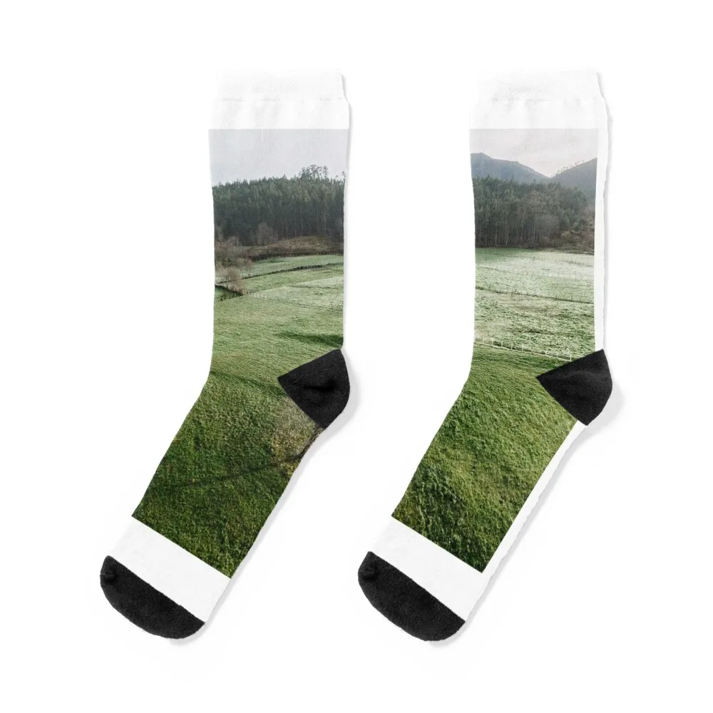 Green field in the morning Socks winter thermal Sports Men's Socks Luxury Women's