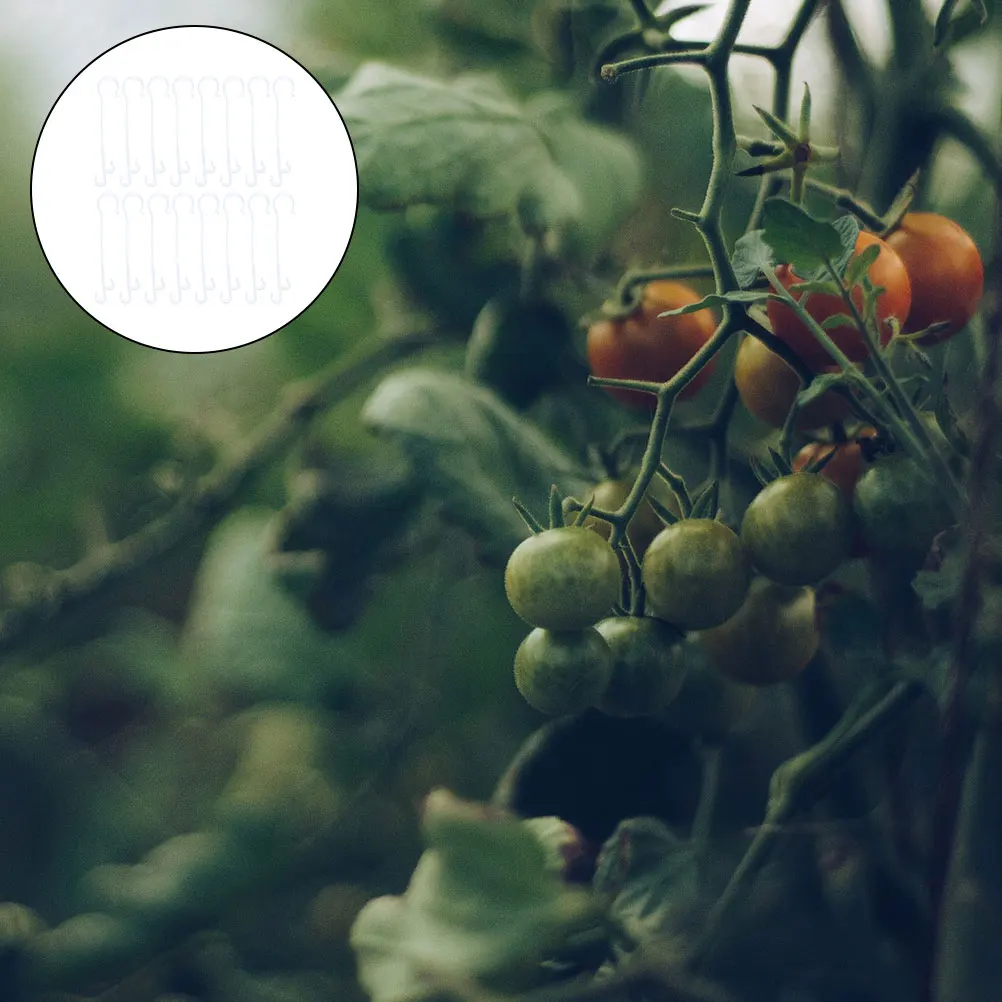 

Tomato Greenhouse Plant Support Plastic Planting Clips Tomatoes Hooks Reusable Long Plant Climbing Hooks Time Use