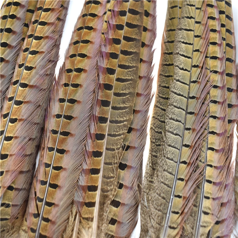 

Natural Ringneck Pheasant Feathers for Crafts Head Large Decorative Chicken Feather Festival Teasing Cats Carnival Accessories