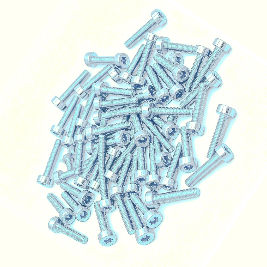 50 Pack T27 Torx Head Bolt M5x18mm Universal Fit Chainsaw Brush Cutter Leaf Blower Garden Tiller Fastener Hardware