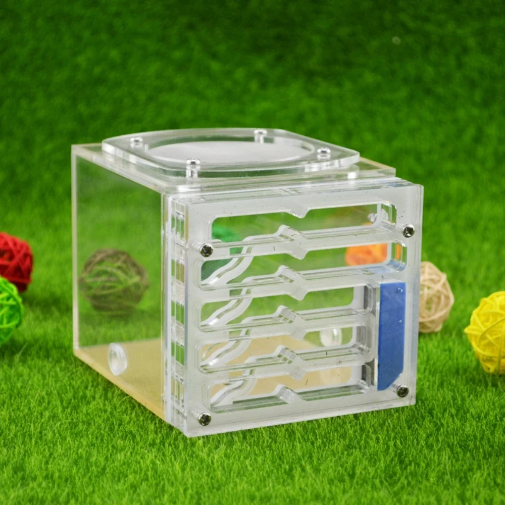 Ant Housing Nest Insect Cage Farms Feeding Moisture Plastic Display Square Box