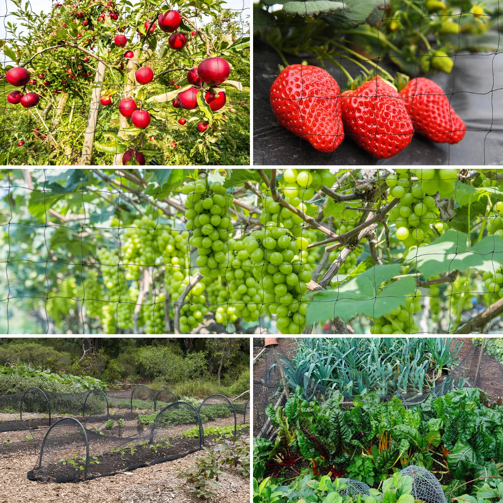 

Премиум-сетка для сада 2х10 метров: защита от птиц, ограждение для пруда, сетка от оленей, защита растений