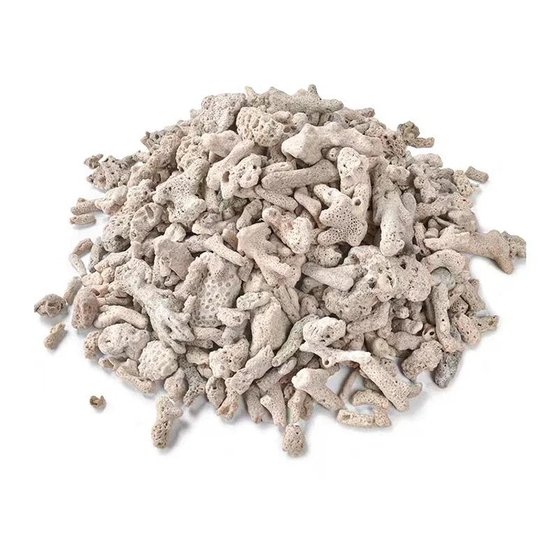 High Quality Natural Coral Bone Biochemical Ball Filter Media Nitrifying Bacteria House Fish Tank Clean Water  Materials